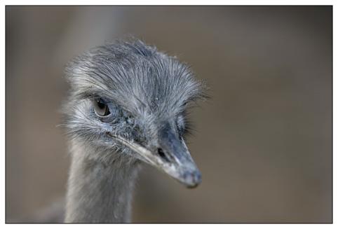 _MG_3628 Kopie_klein.jpg